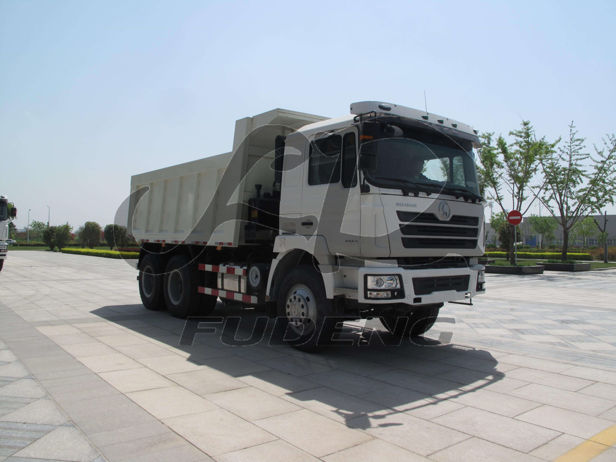 Shacman f3000 tipper truck prices (3)